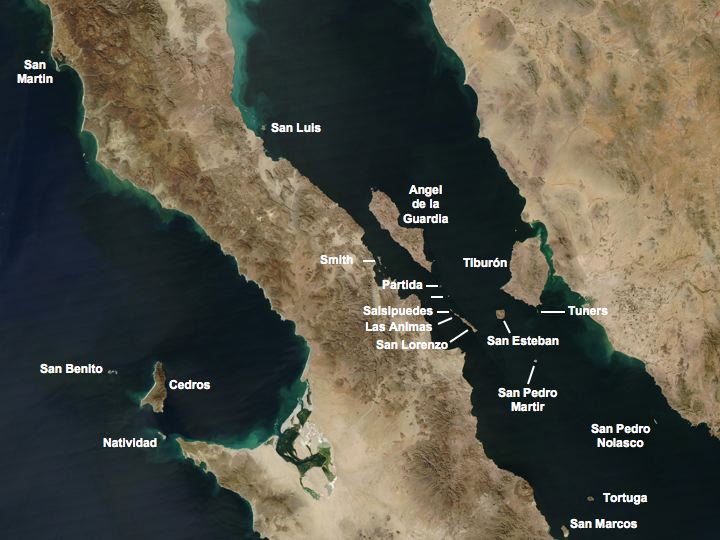 San Pedro Mártir Island — view