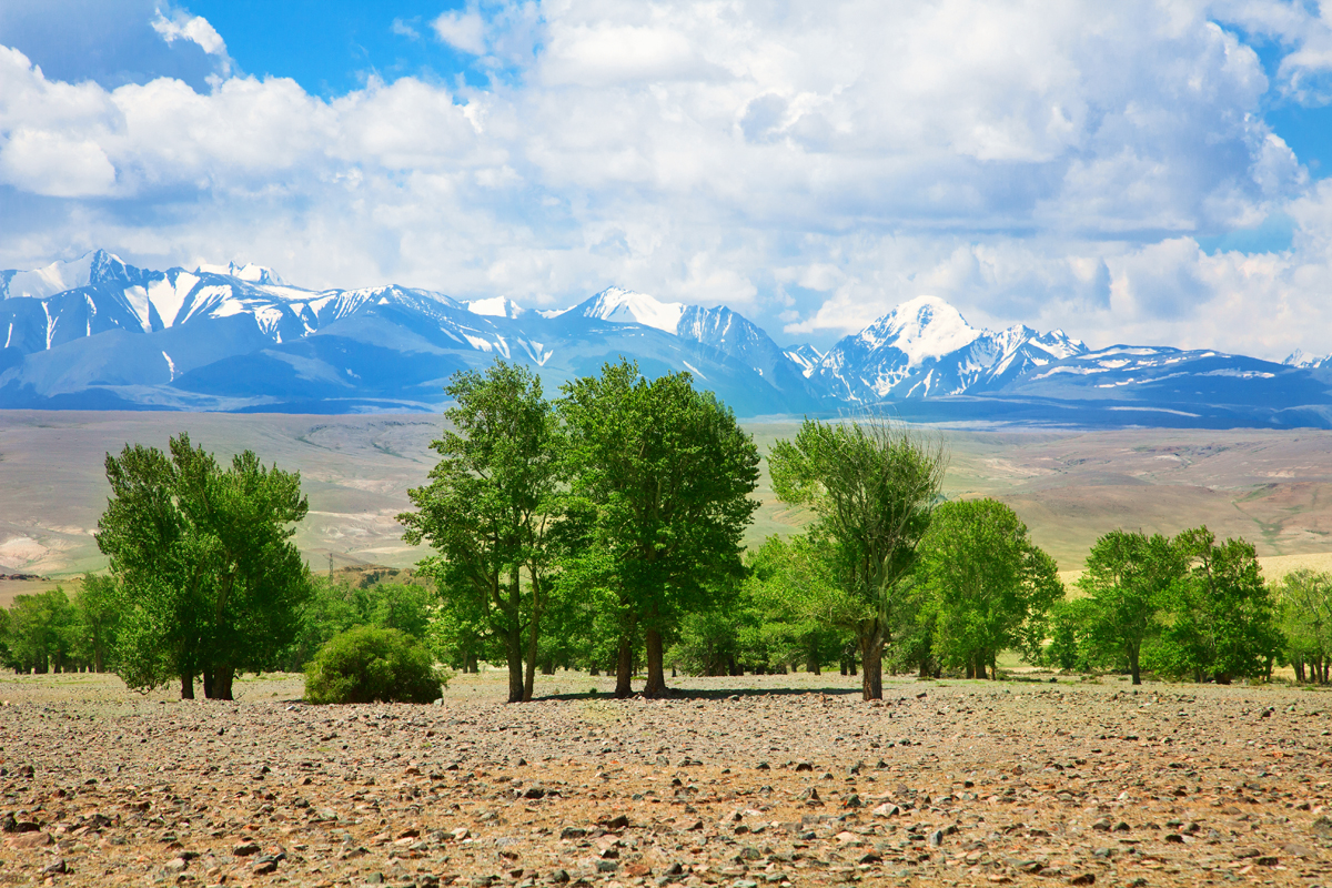 Golden Mountains of Altai — view