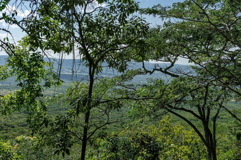 UNESCO World Heritage Sites Near Kondoa Rock Art Sites: Tanzania’s 19,000-Year-Old Paintings, the Living Hadza Hunters and the African Lascaux of the Great Rift Valley