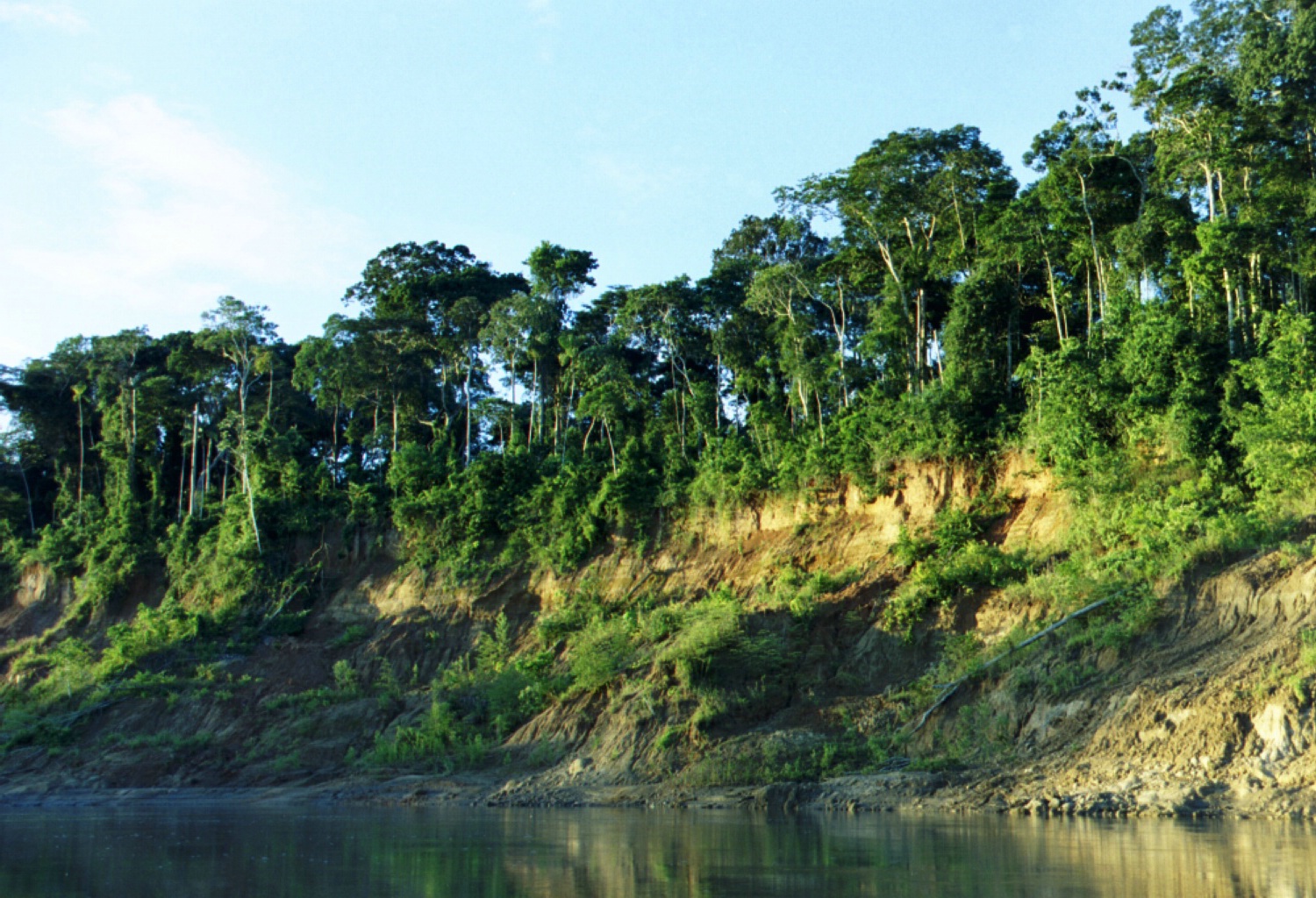 Manu National Park — view