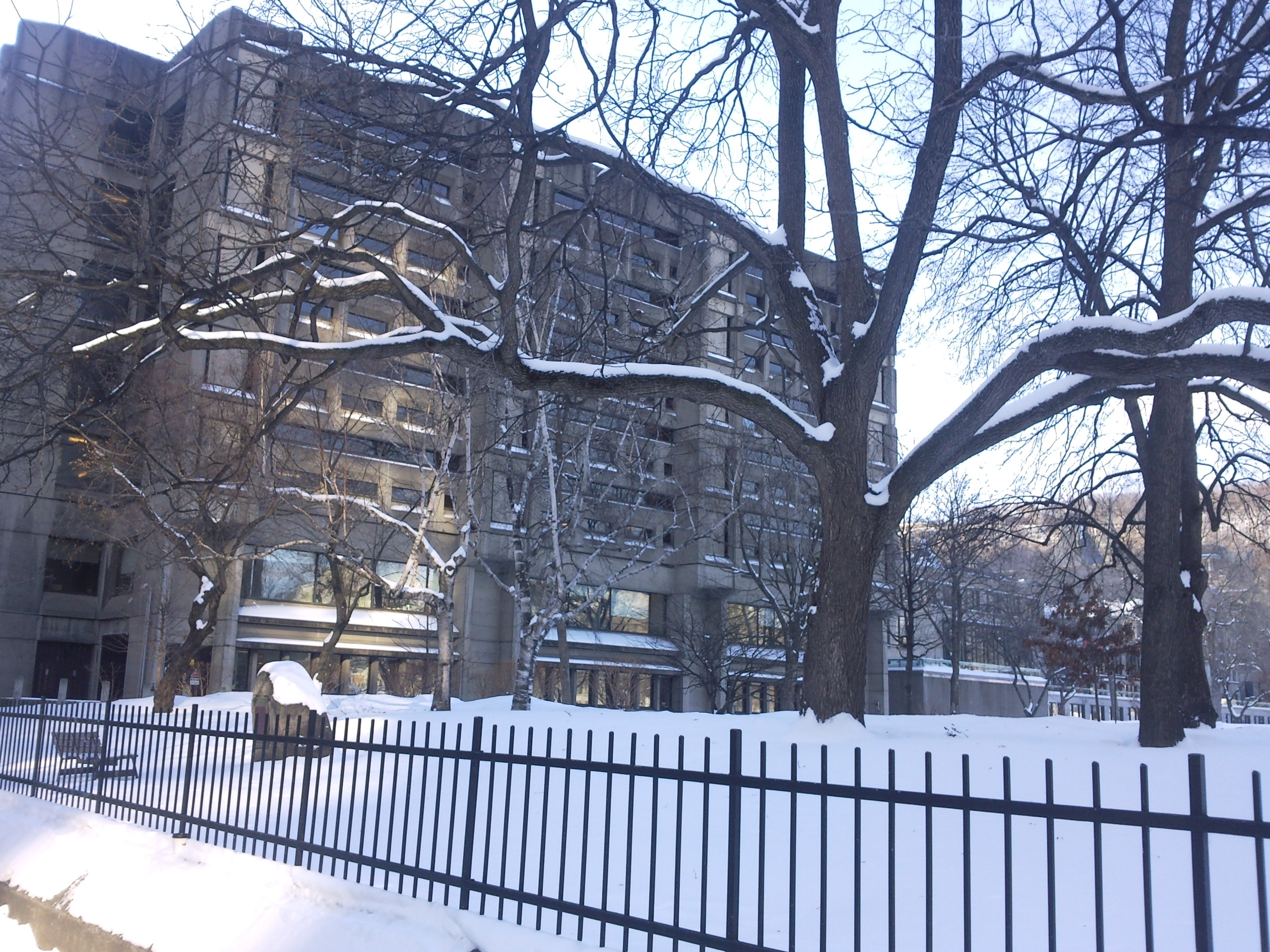 McLennan Library Building — view