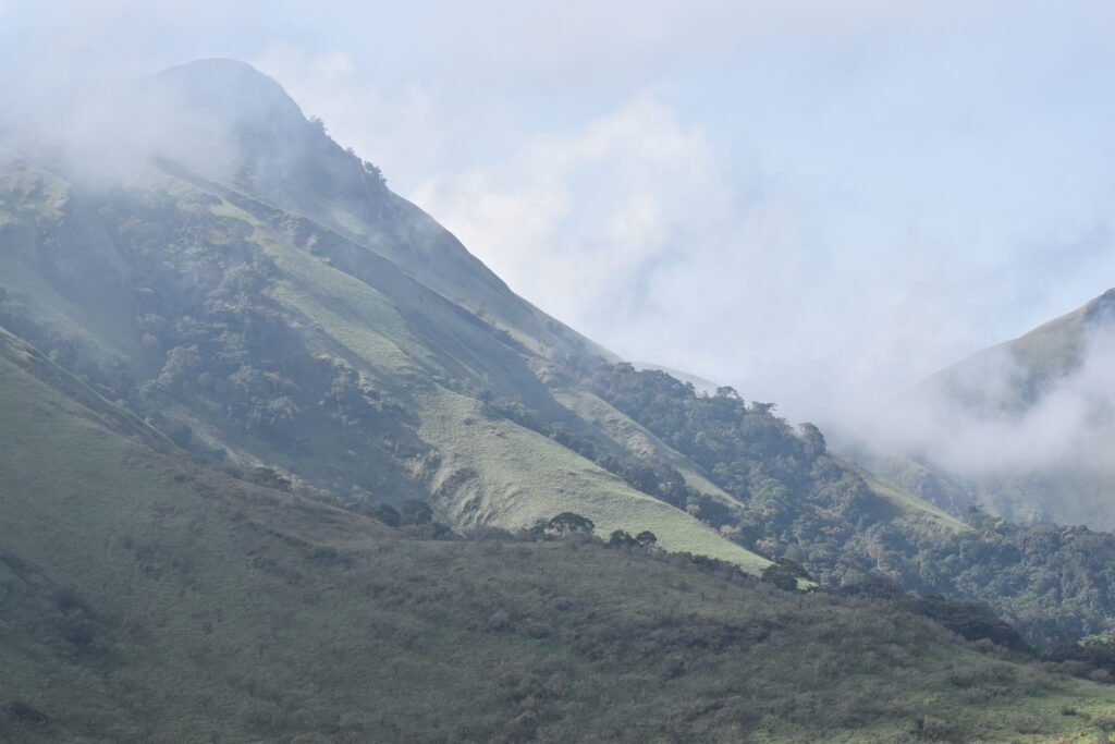 UNESCO World Heritage Sites Near Conakry: Mount Nimba Strict Nature Reserve
