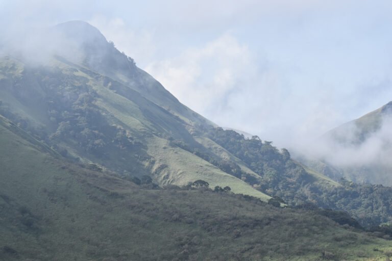 UNESCO World Heritage Sites Near Conakry: Mount Nimba Strict Nature Reserve