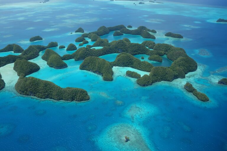 UNESCO World Heritage Sites Near the Rock Islands: Palau’s 445 Mushroom-Shaped Islands, Jellyfish Lake and the Pacific Marine Biodiversity Hotspot