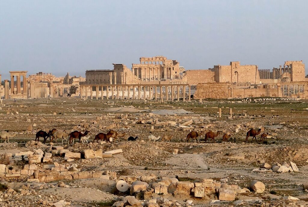 UNESCO World Heritage Sites in Syria: the complete guide (6 sites)