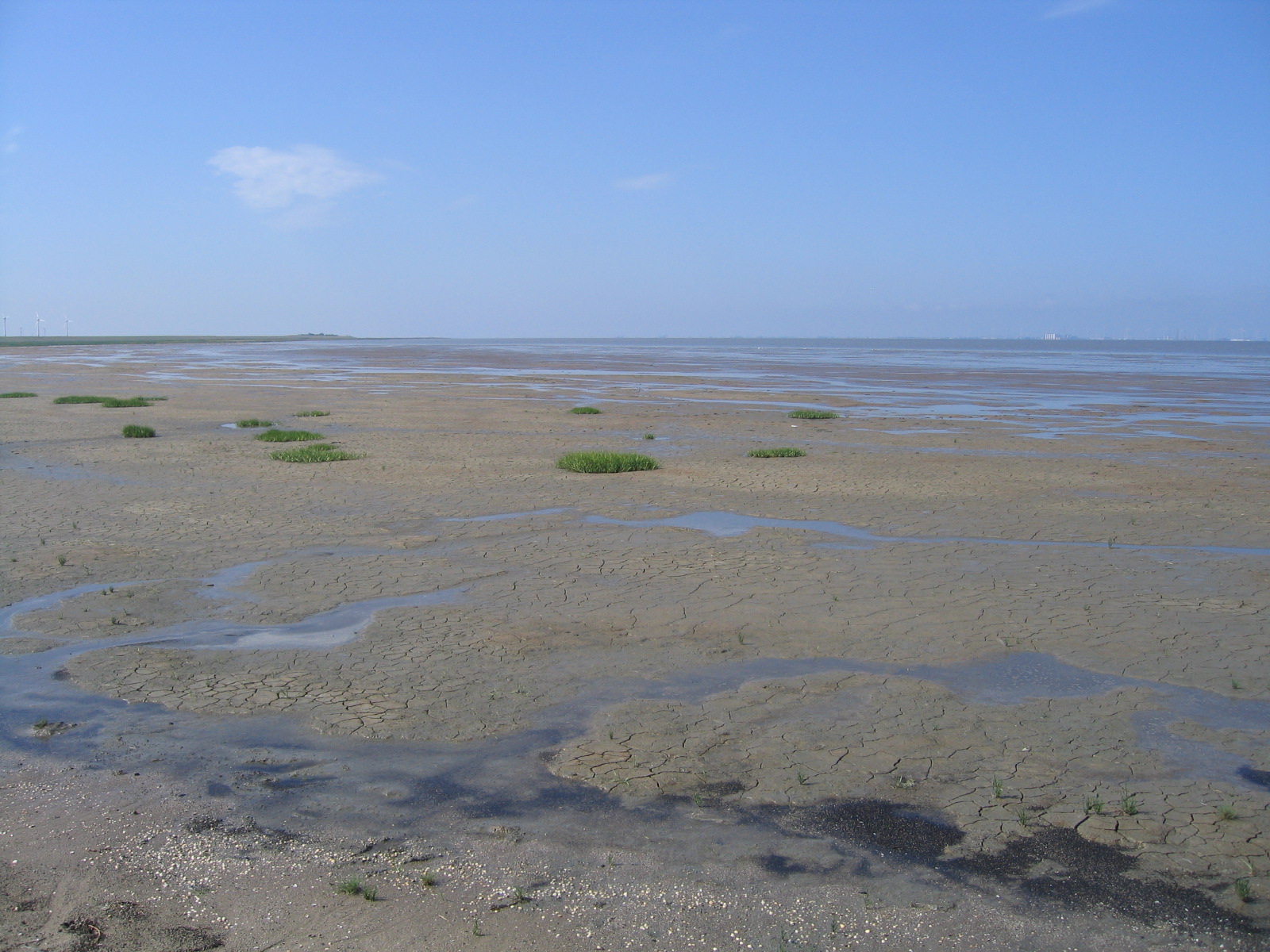 Lower Saxon Wadden Sea National Park — view Lower Saxon Wadden Sea National Park — view