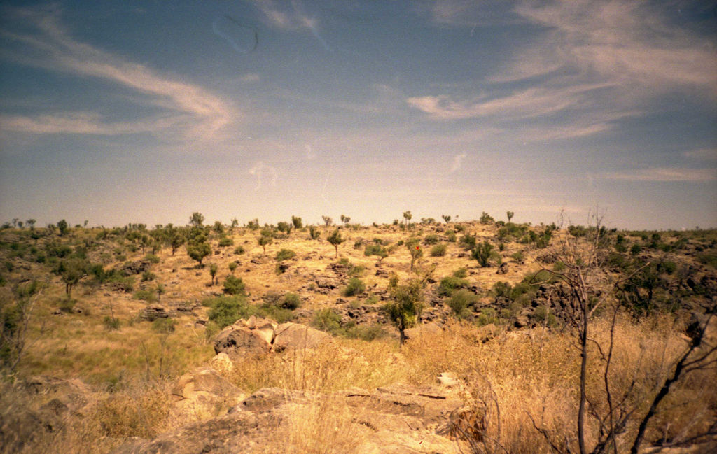 Australian Fossil Mammal Sites (Riversleigh / Naracoorte) — view