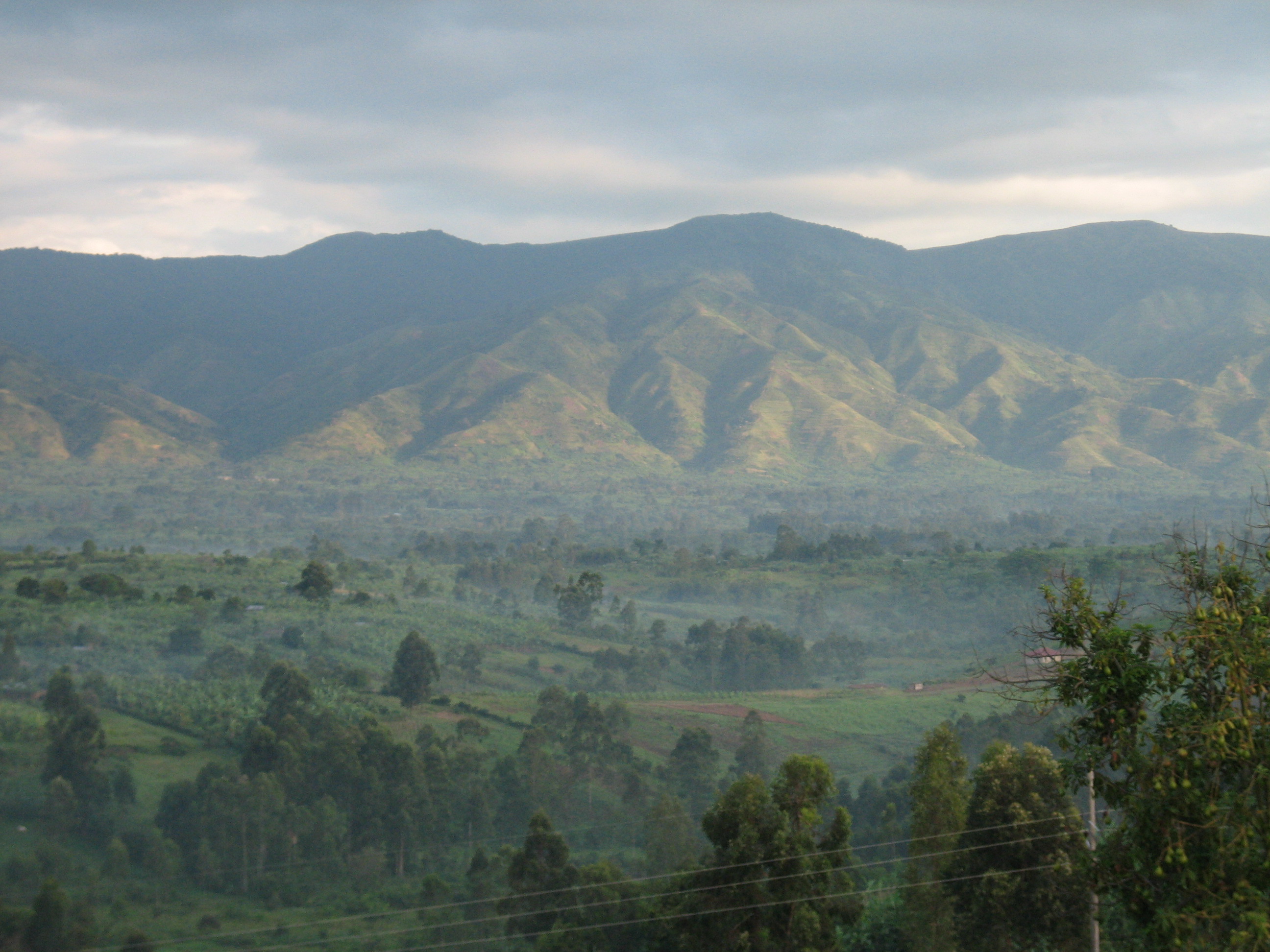 Rwenzori Mountains National Park — view Rwenzori Mountains National Park — view