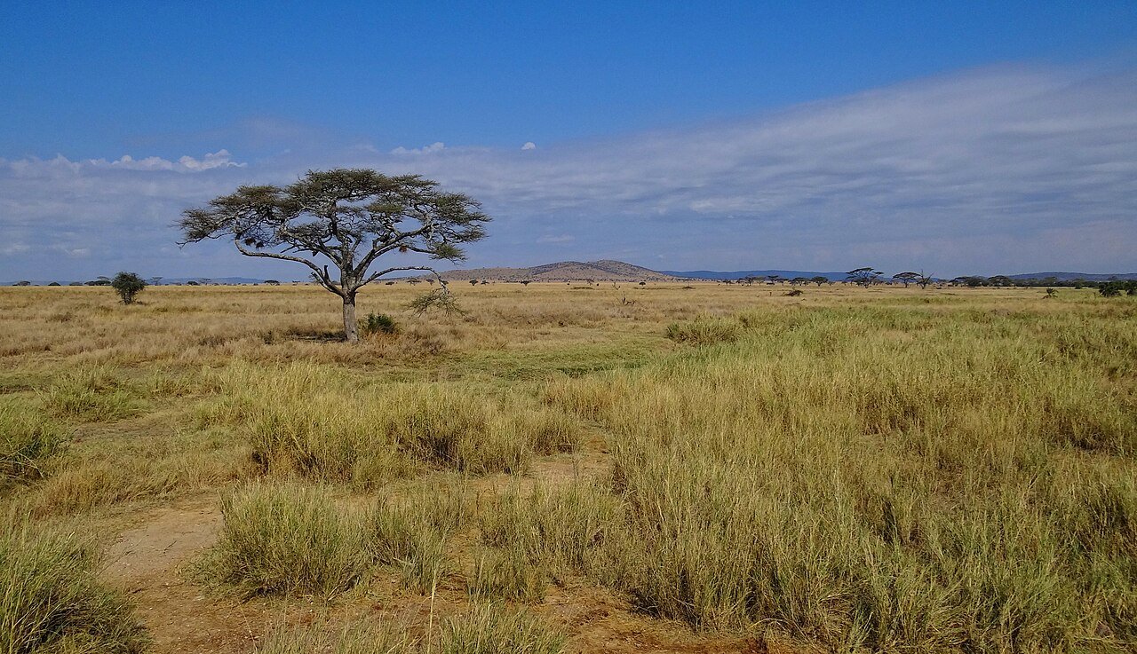 Serengeti National Park
