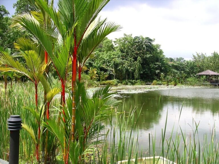 UNESCO World Heritage Sites in Singapore: the complete guide (1 sites)