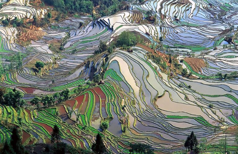 Honghe Hani Rice Terraces Agricultural System: Guide