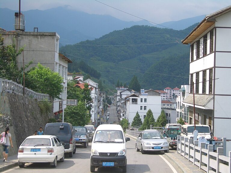 Hubei Shennongjia Forest District Ecology: Guide