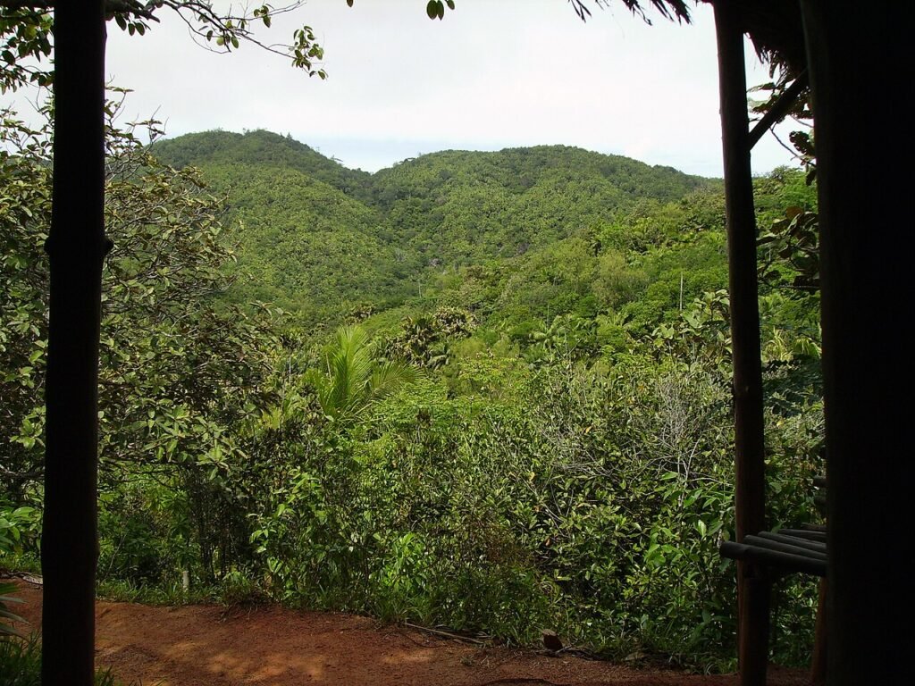 UNESCO World Heritage Sites in the Seychelles: the complete guide (2 sites)