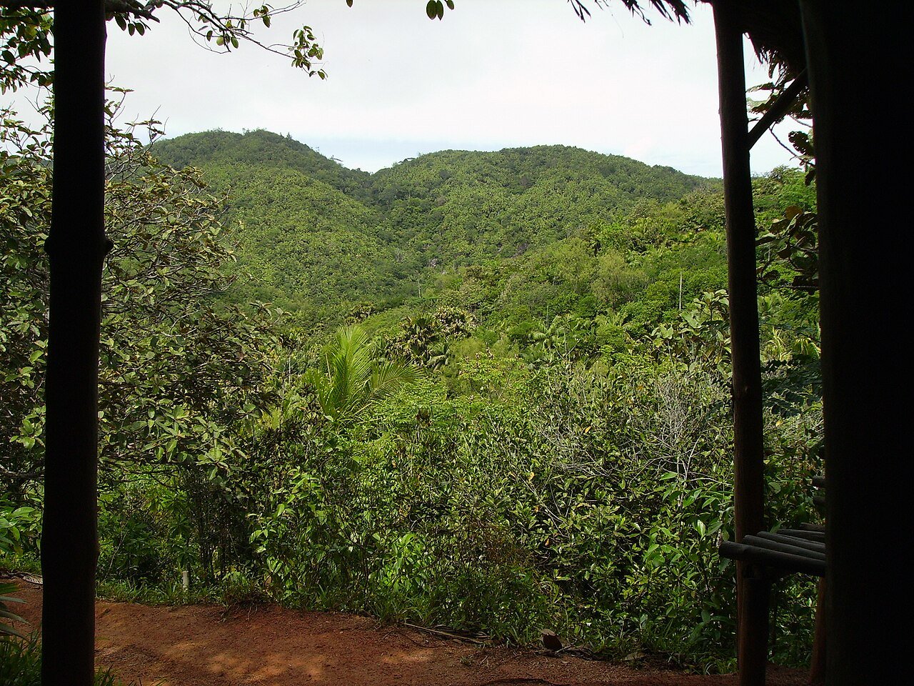 Vallée de Mai Nature Reserve