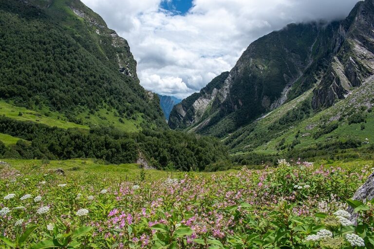 UNESCO World Heritage Sites Near the Valley of Flowers: 500 Himalayan Plant Species, the Sacred Nanda Devi Peak and the British Botanist Who Died Photographing Wildflowers in 1975