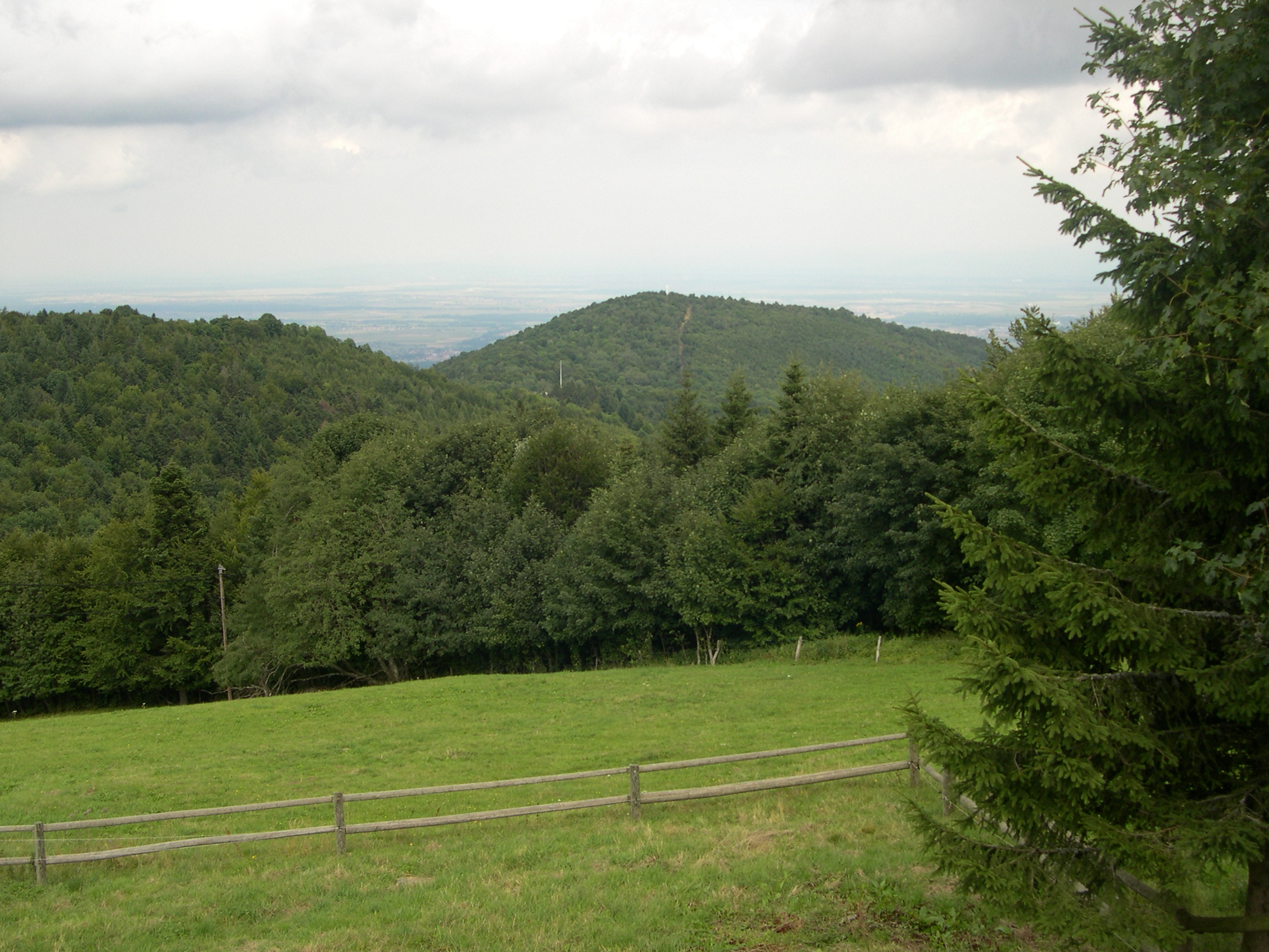 Hartmannswillerkopf — view