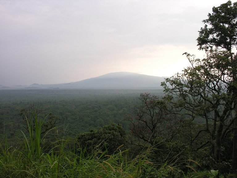 UNESCO World Heritage Sites in the Democratic Republic of the Congo: the complete guide