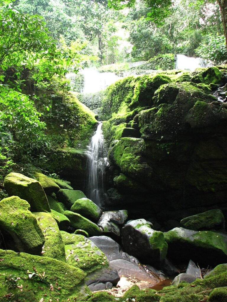 UNESCO World Heritage Sites in Gabon: the complete guide (2 sites)