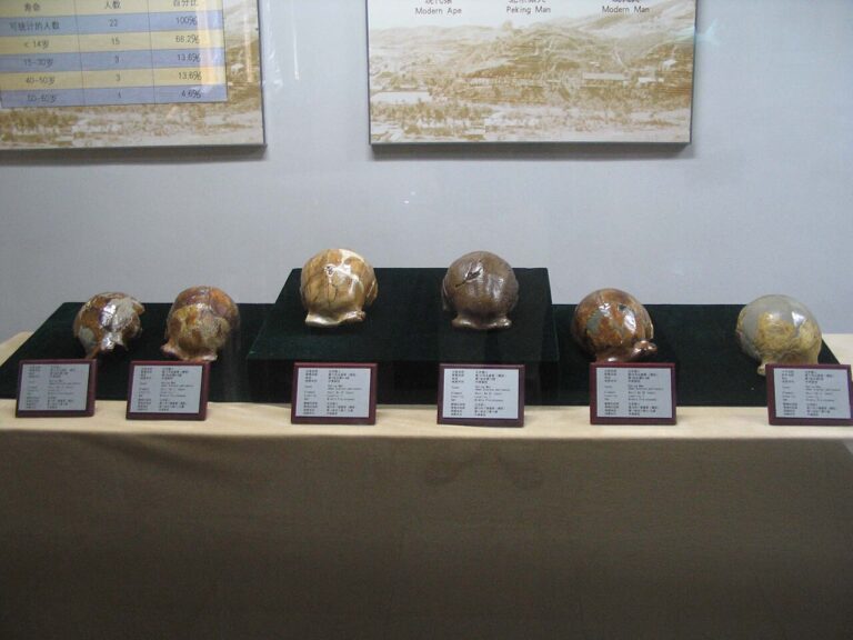 Peking Man Site Zhoukoudian Homo Erectus: Guide