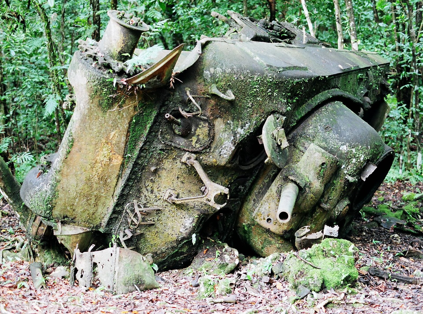 Peleliu Battlefield (Palau): The Umurbrogol Caves, the Airfield That Was Not Needed, and Three Ways of Telling One Battle