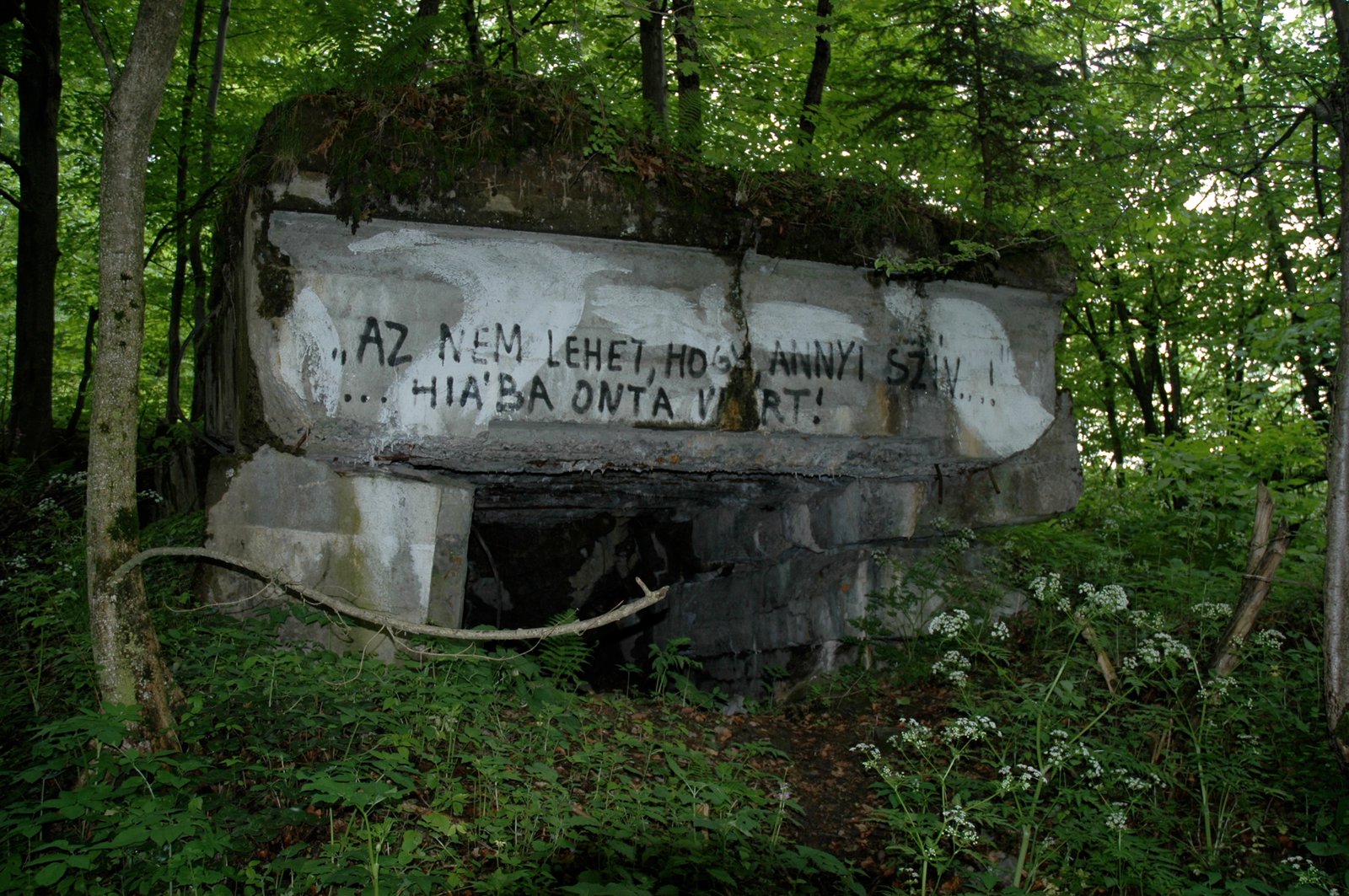 The Veretski Pass and the Árpád Line