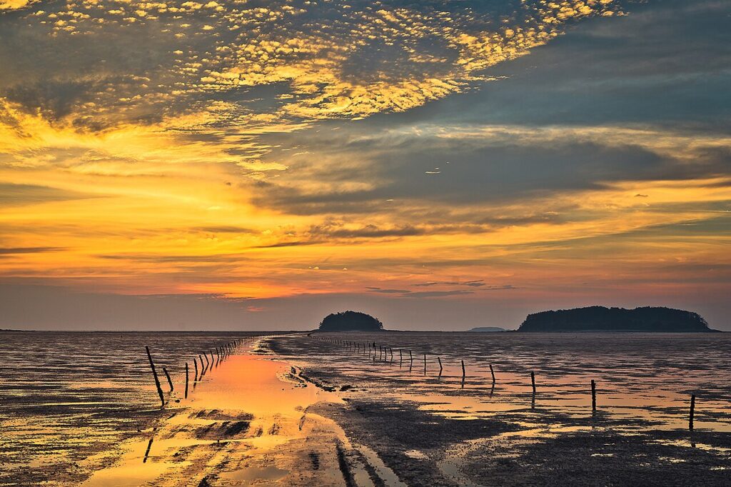 Getbol Korean Tidal Flats Migratory Birds: Guide Getbol Korean Tidal Flats Migratory Birds: Guide