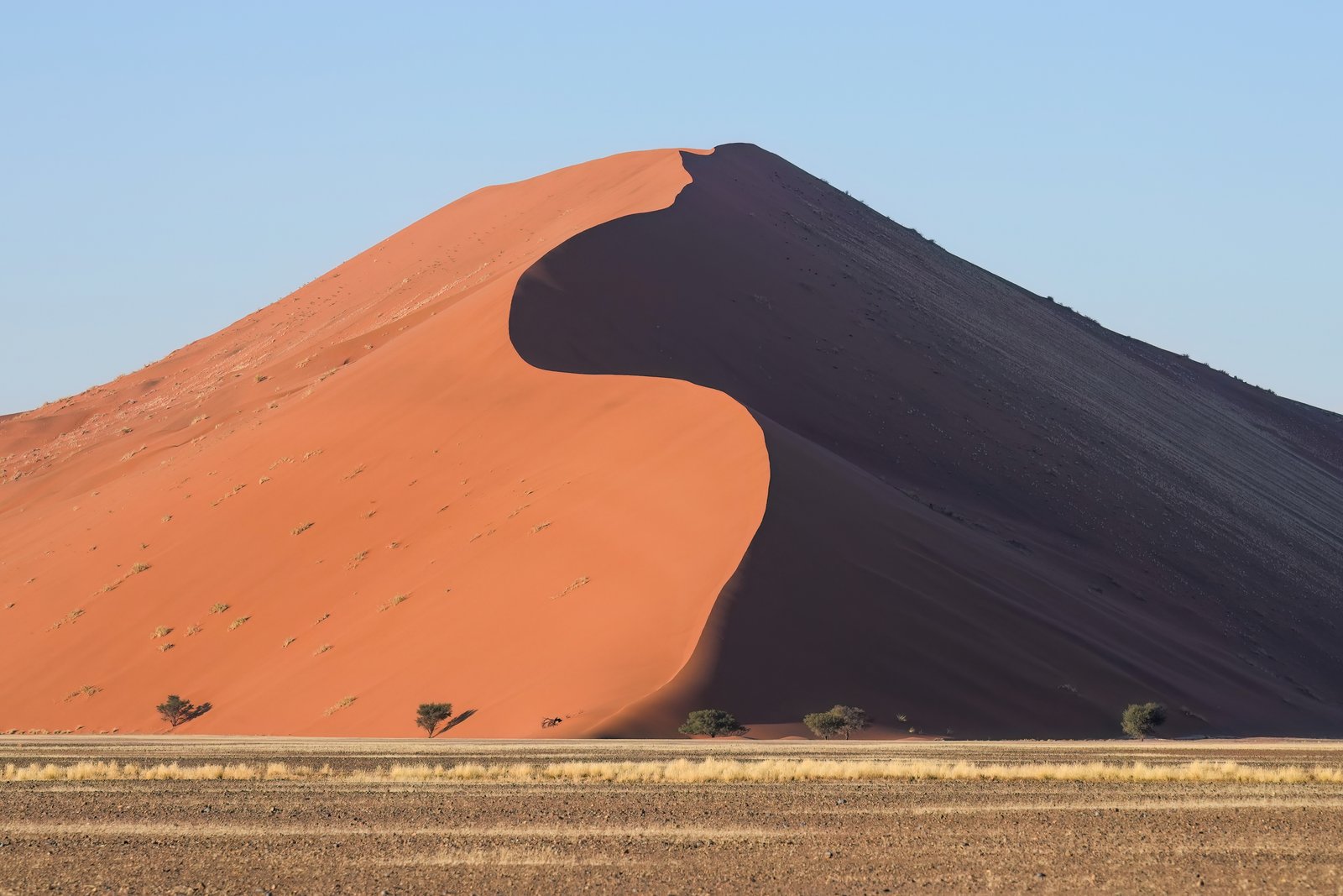Dune 45 at sunrise, massive orange sand dunes at Sossusvlei, Namibia