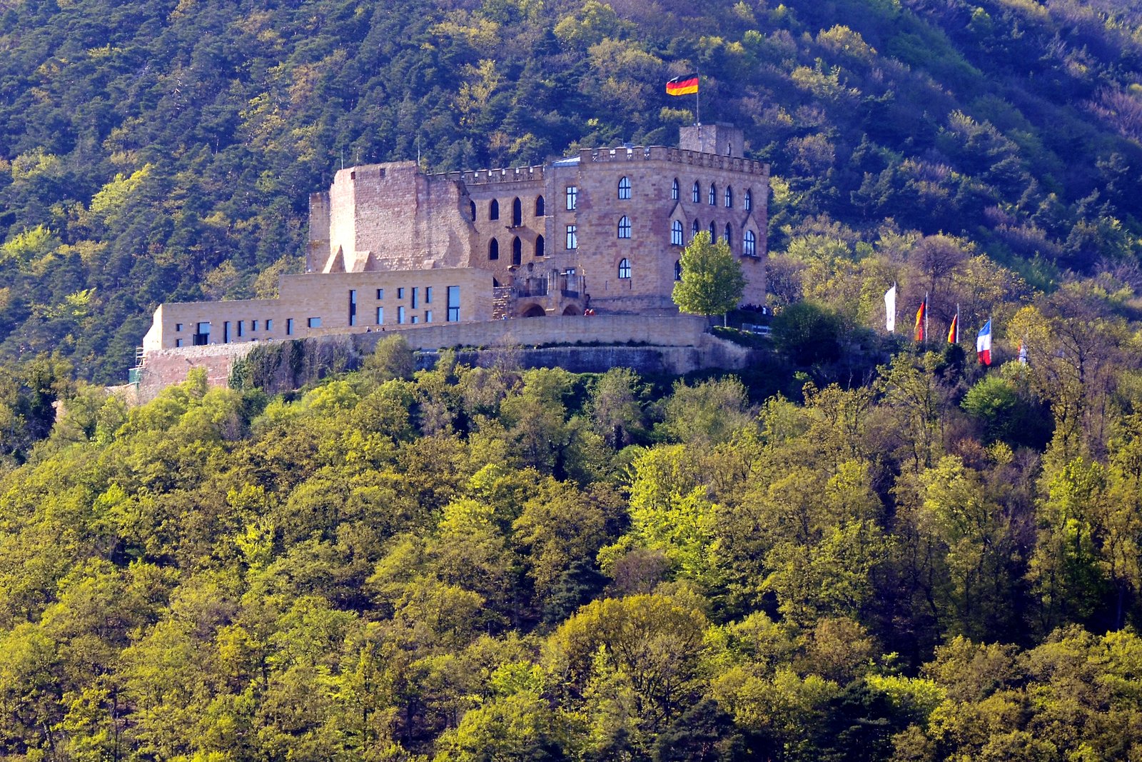 Hambach Castle — view