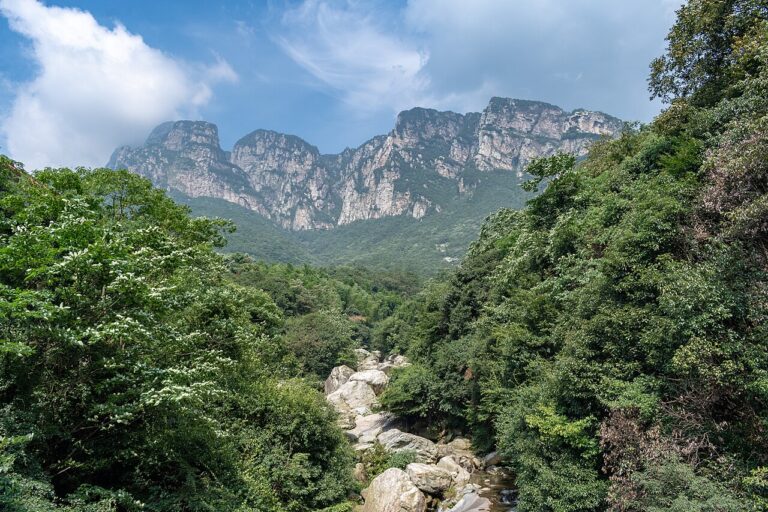 Lushan National Park Mountain Villas: Travel Guide