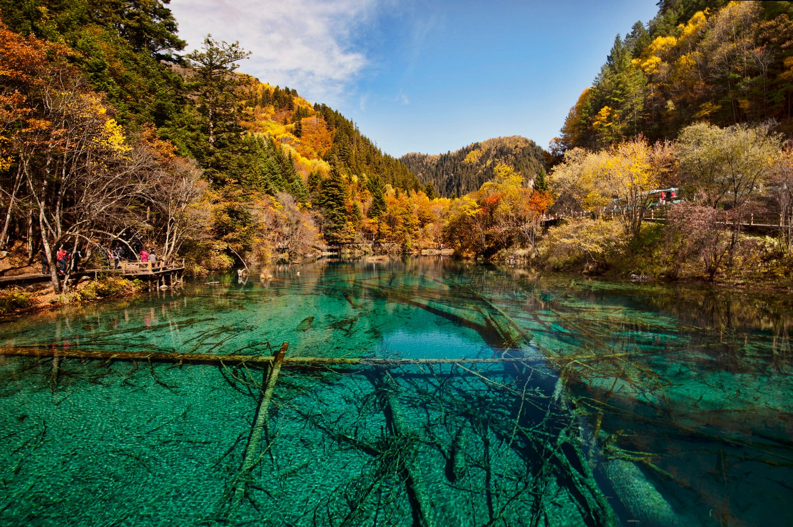 Multi-coloured turquoise lakes and forested ridges at Jiuzhaigou Valley, Sichuan, China