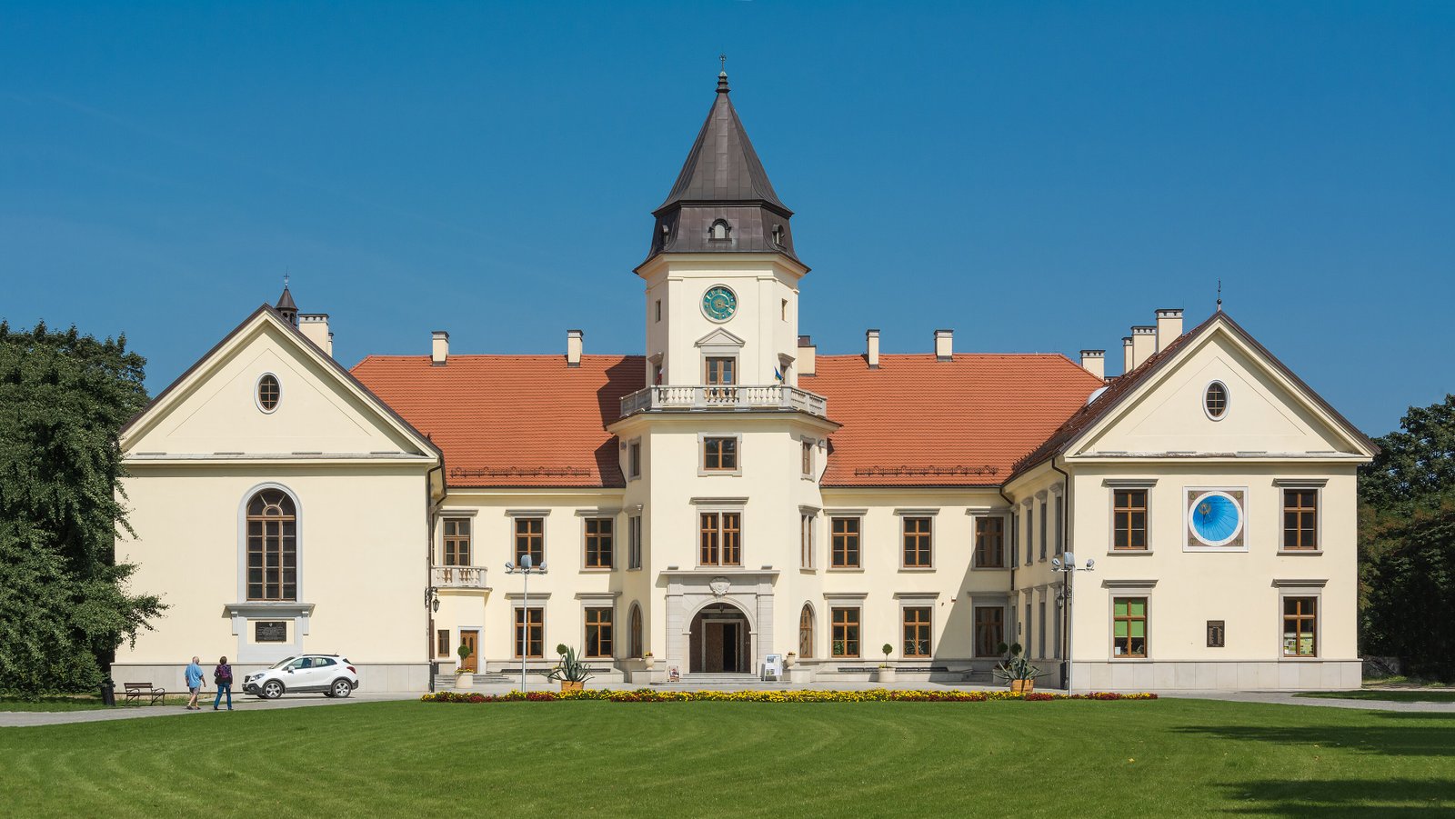 Dzików Castle — view