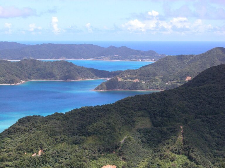 Amami-Oshima & Okinawa Islands Subtropical Forests