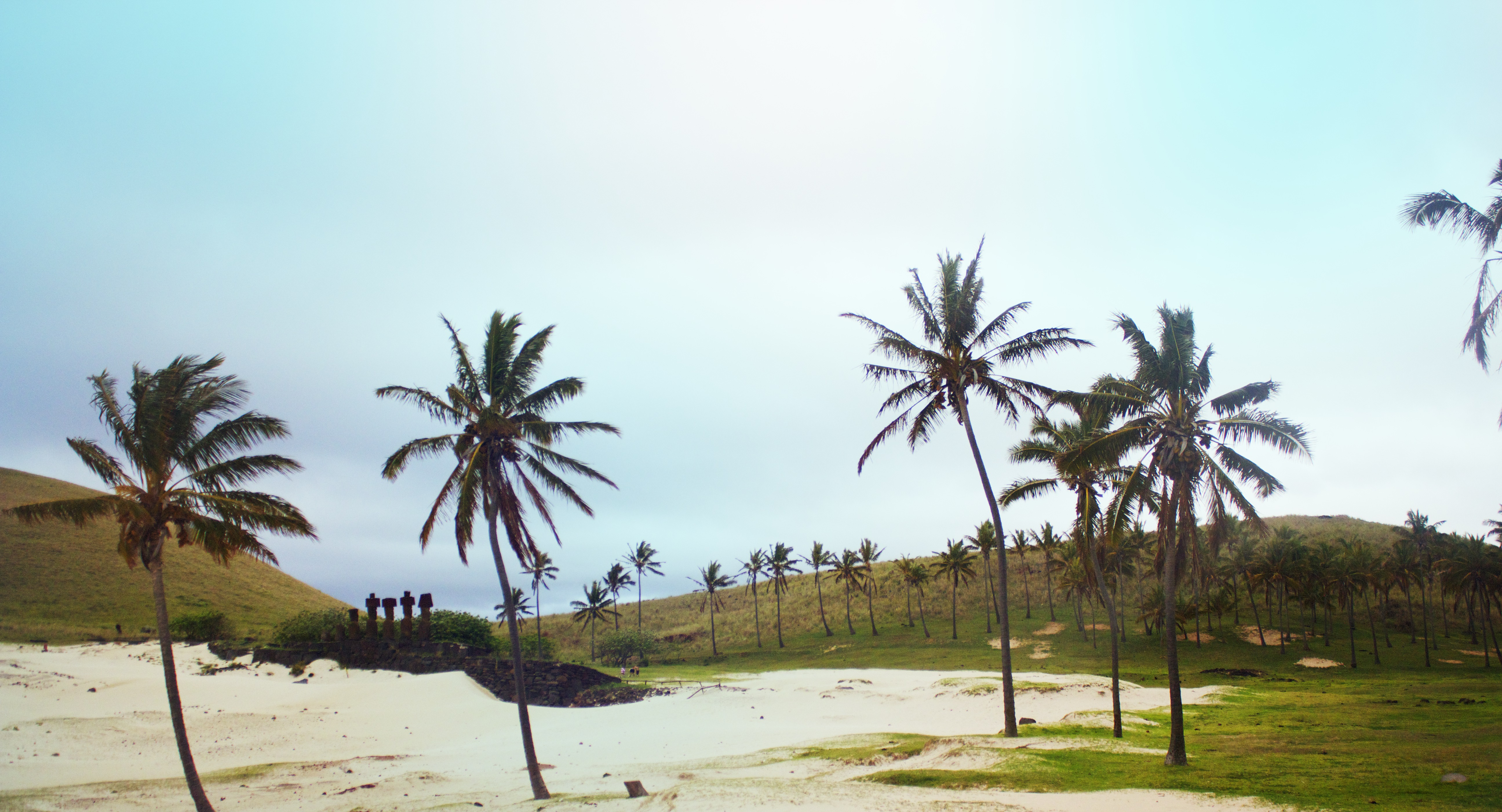 Anakena beach with moai statues lining the shore on Easter Island, Chile