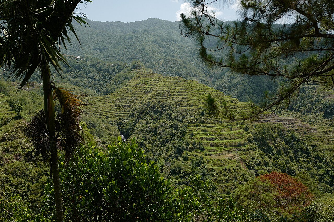 Terraced rice paddies cascading down green mountain slopes in Banaue, Ifugao