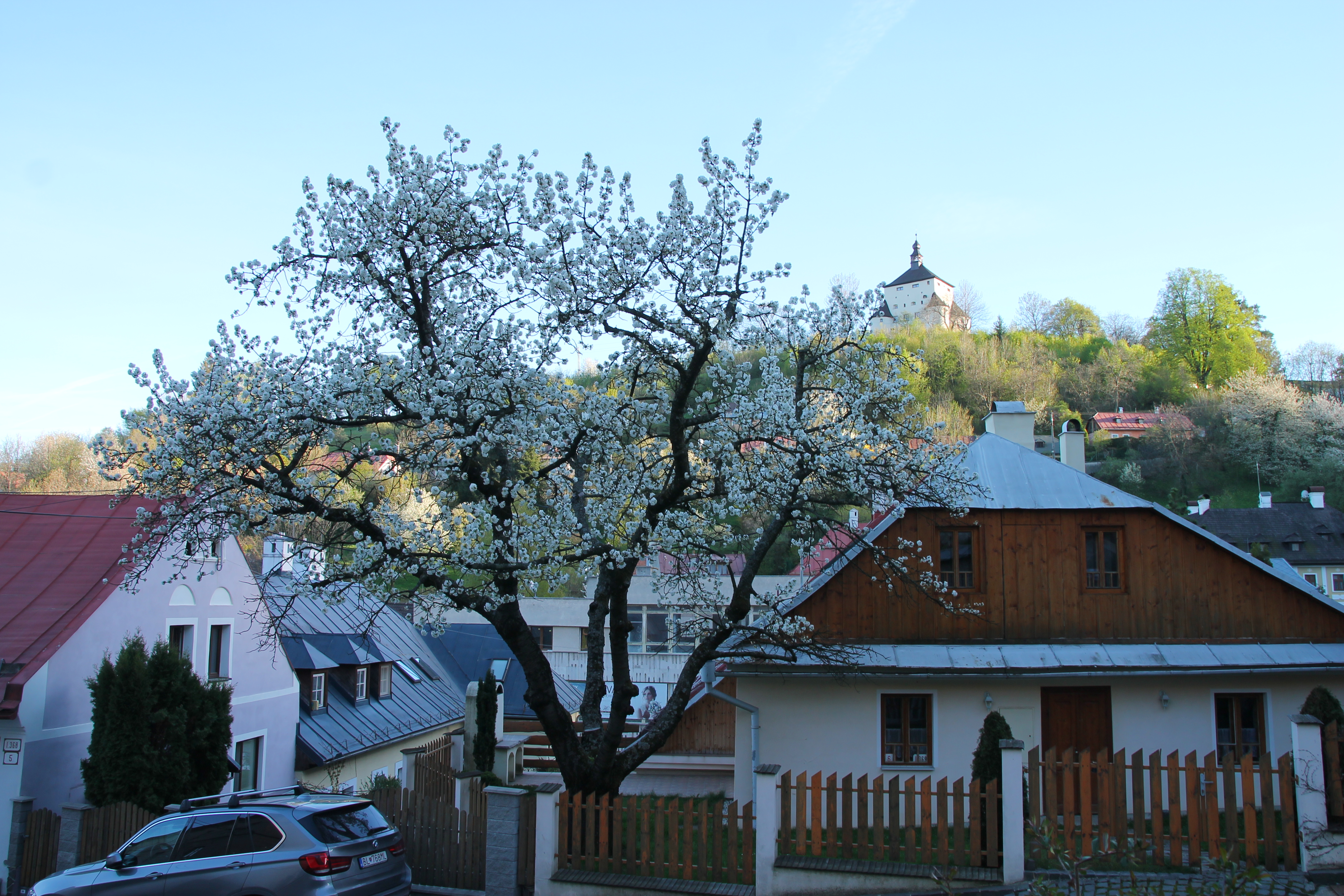 New Castle of Banská Štiavnica rising above spring trees in Slovakia