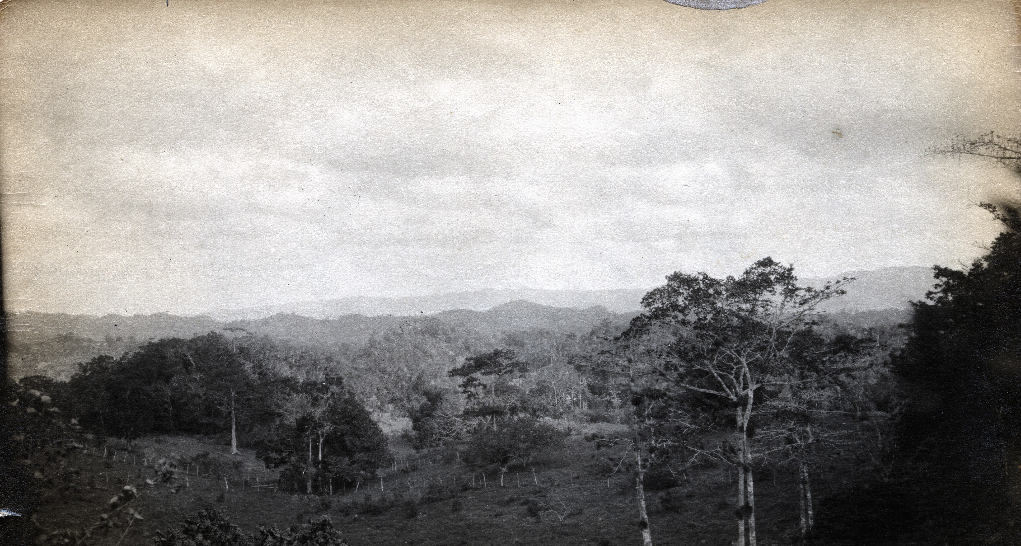 Layered ridges and forest canopy of the Blue Mountains rising above Jamaica