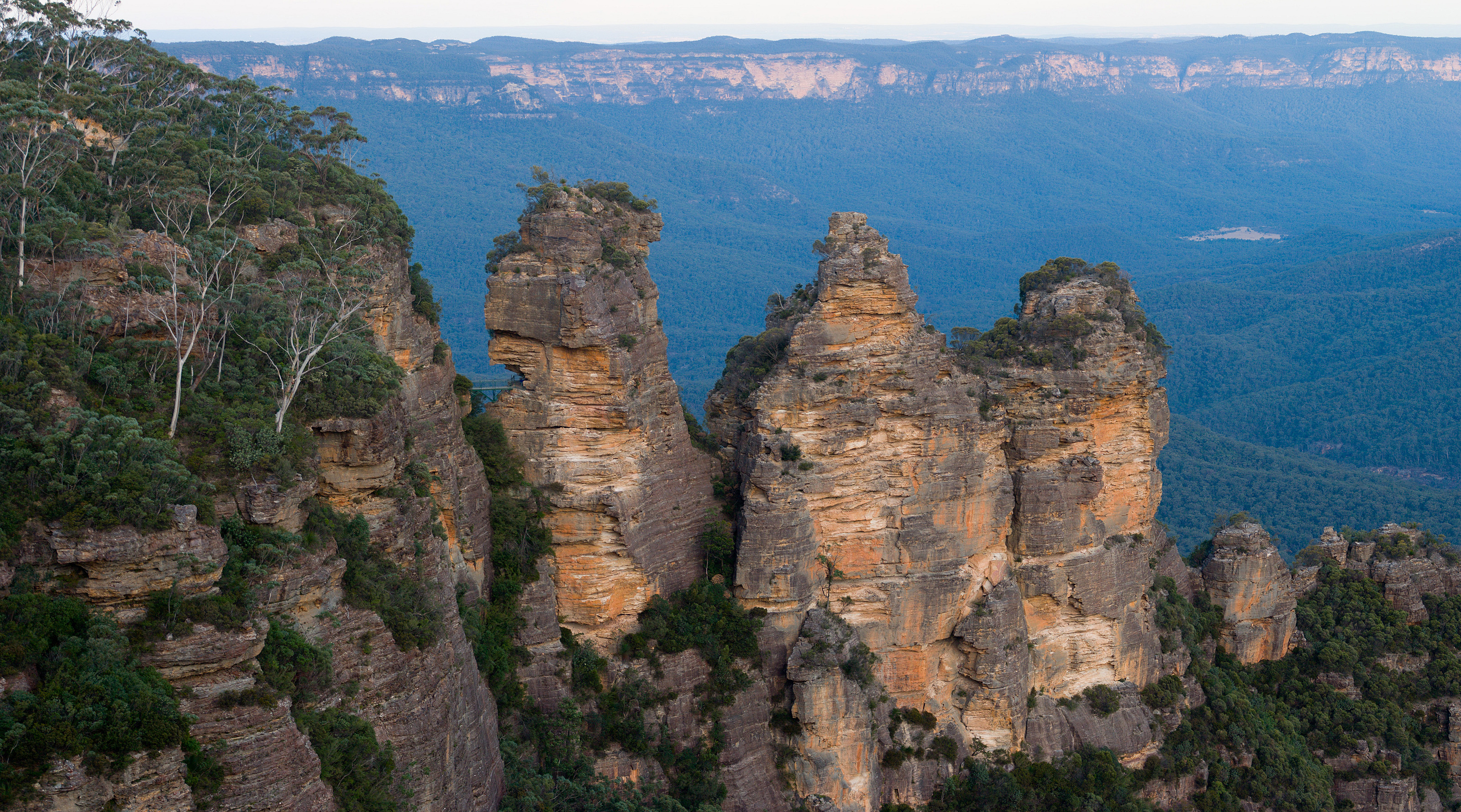Three Sisters sandstone rock formation rising above forested Blue Mountains gorge