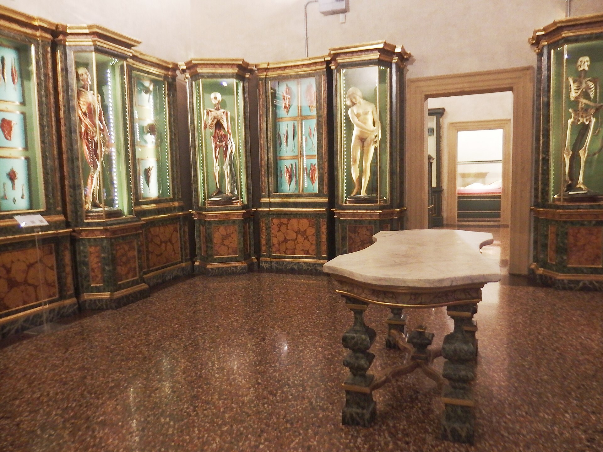 Museo di Palazzo Poggi — via Wikimedia Commons