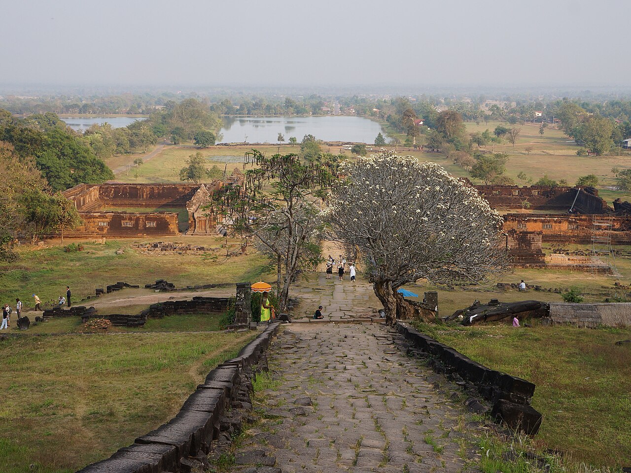 Stone stairway overgrown with plumeria trees rising toward the sanctuary at Vat Phou Champasak Laos