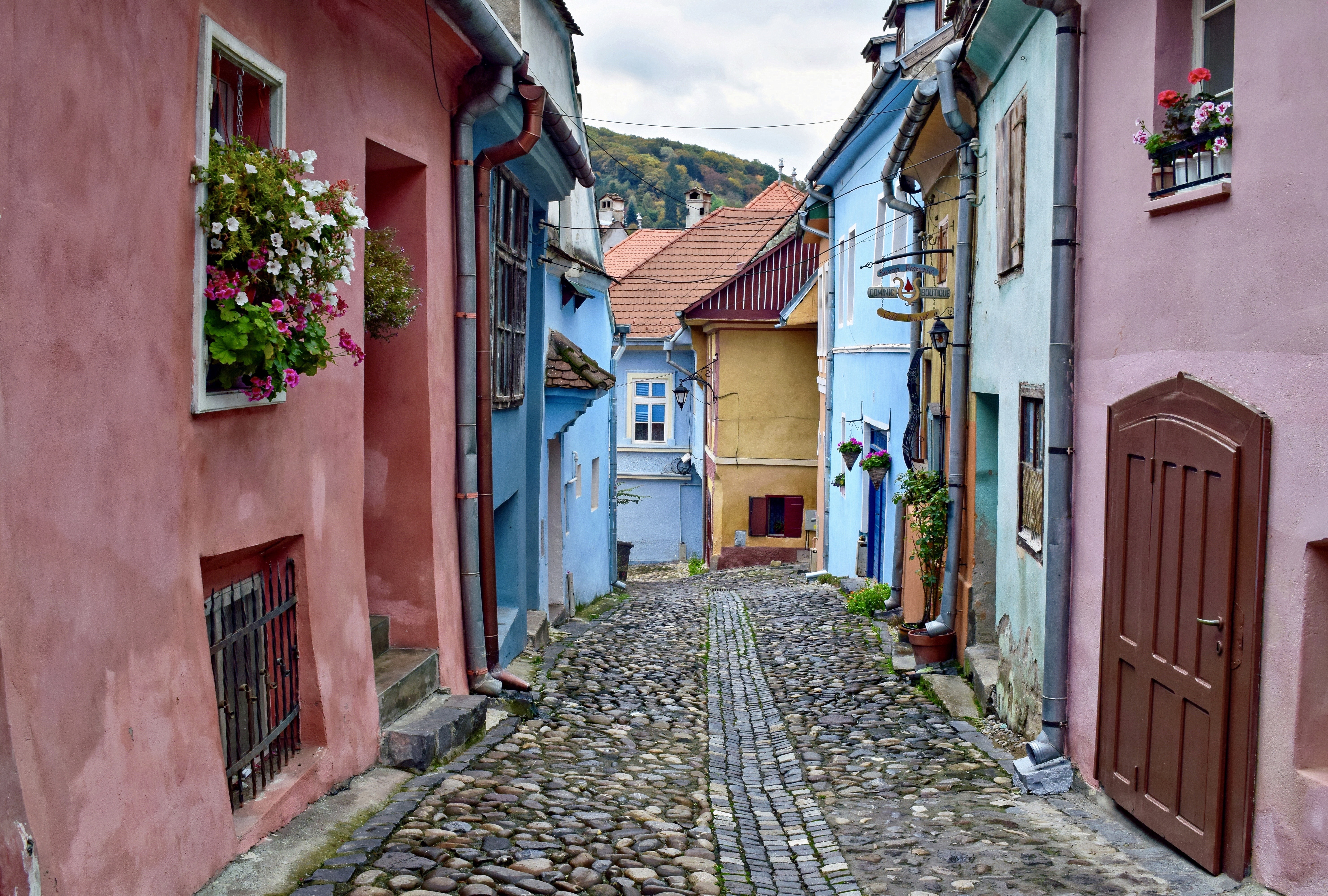 Colourful painted merchant houses lining a cobbled street in Sighisoara citadel