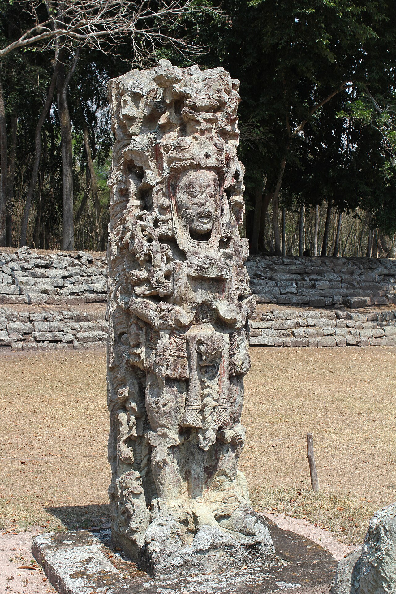 Elaborately carved Stela F depicting the Maya ruler 18 Rabbit at Copán, Honduras
