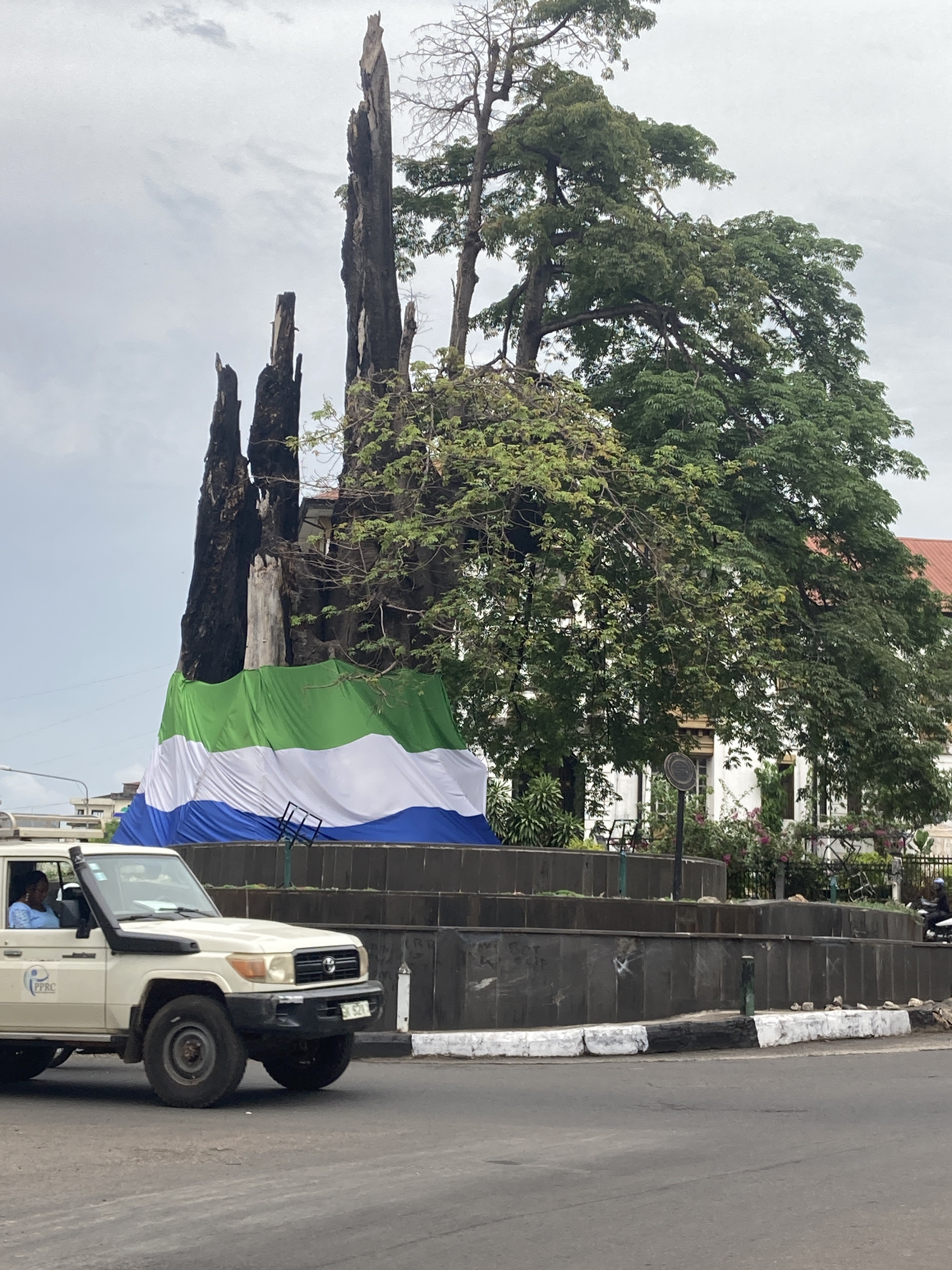 Stump of the Cotton Tree in central Freetown with Sierra Leonean flag