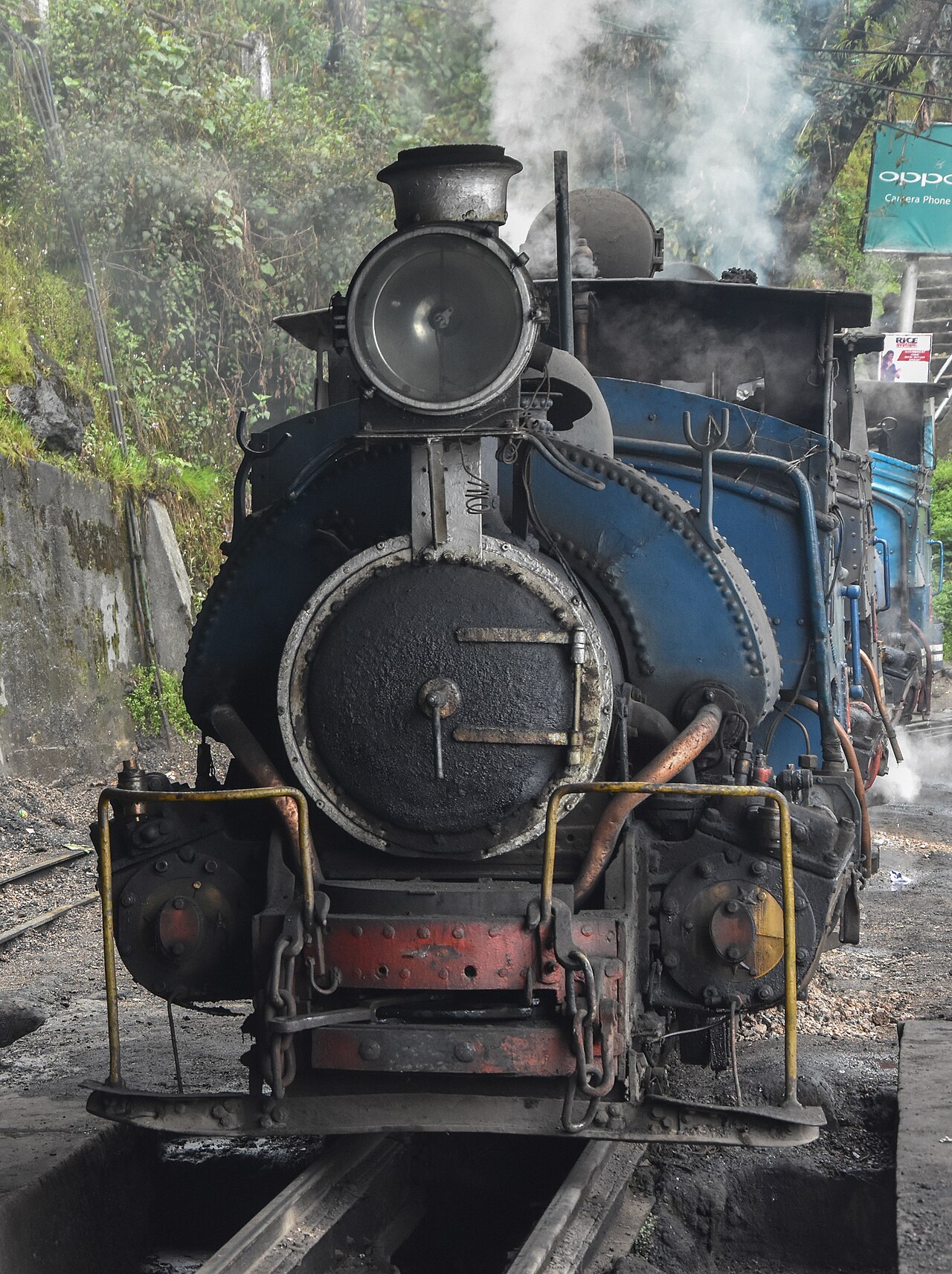 A Darjeeling Himalayan Railway steam locomotive pulling passenger coaches around a tight curve through a tea garden with mountain scenery in the background, West Bengal, India
