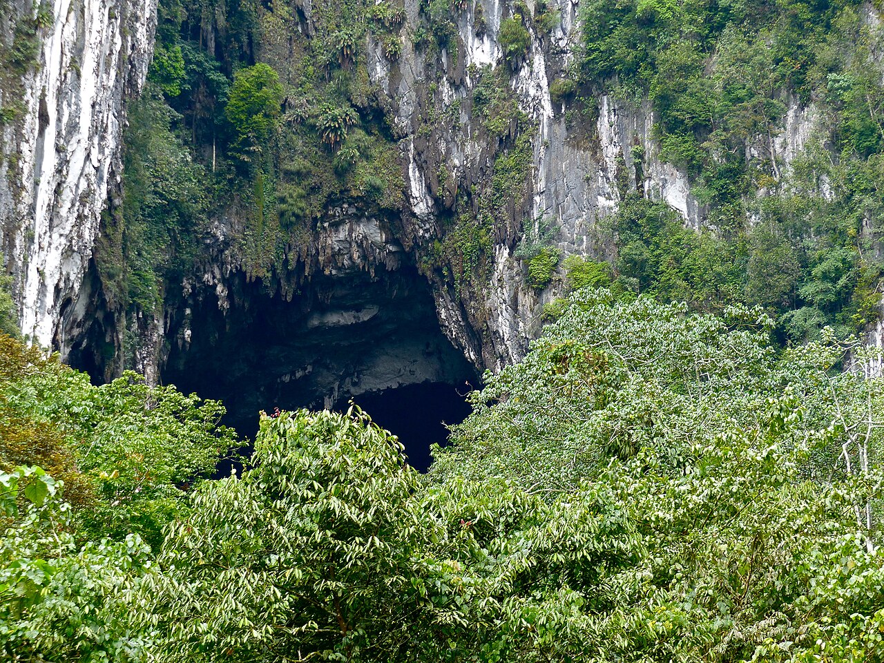 Vast arched entrance to Deer Cave in Gunung Mulu National Park with silhouetted vegetation