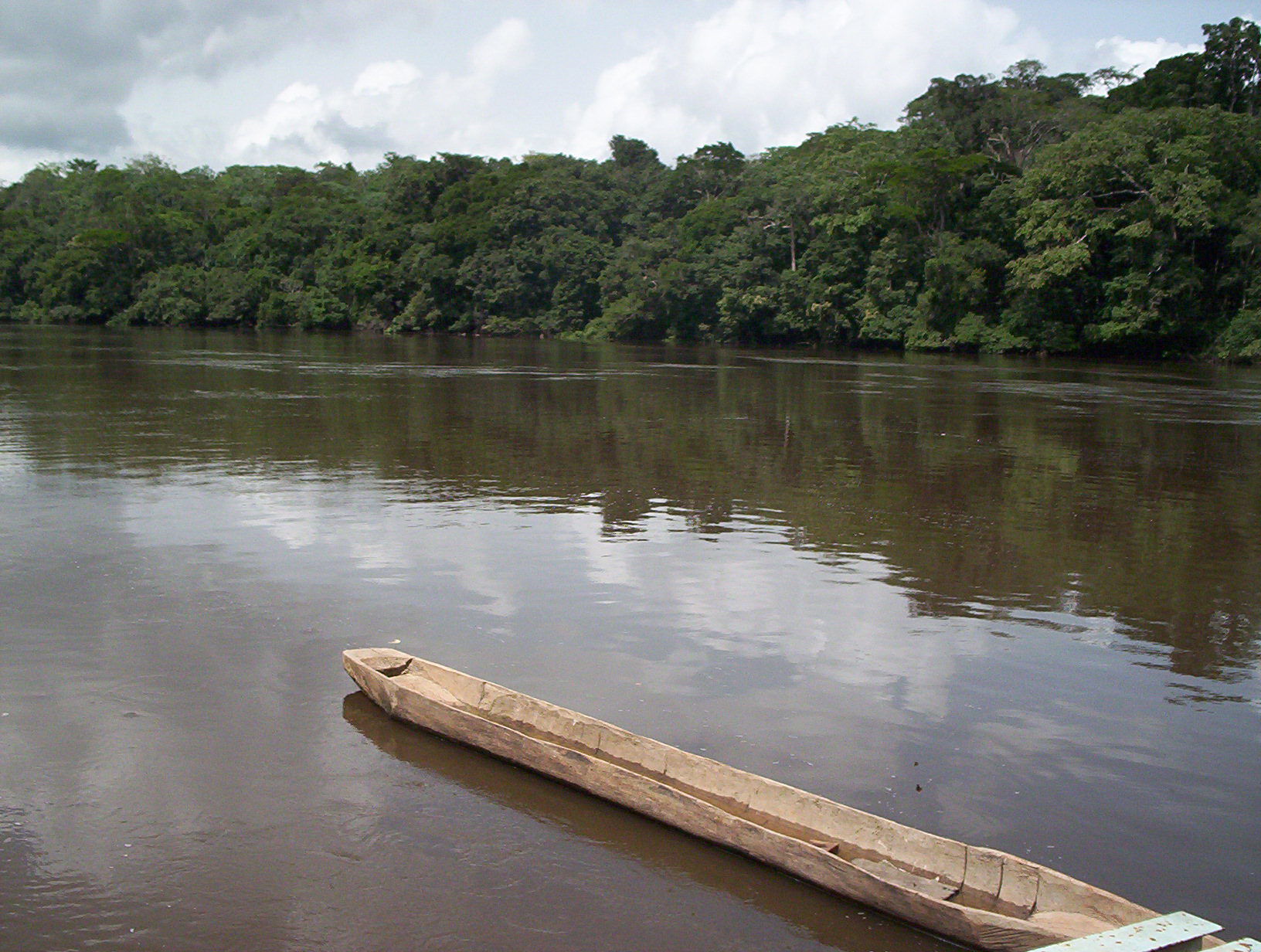 Traditional wooden pirogue on the Dja River at the edge of the rainforest reserve