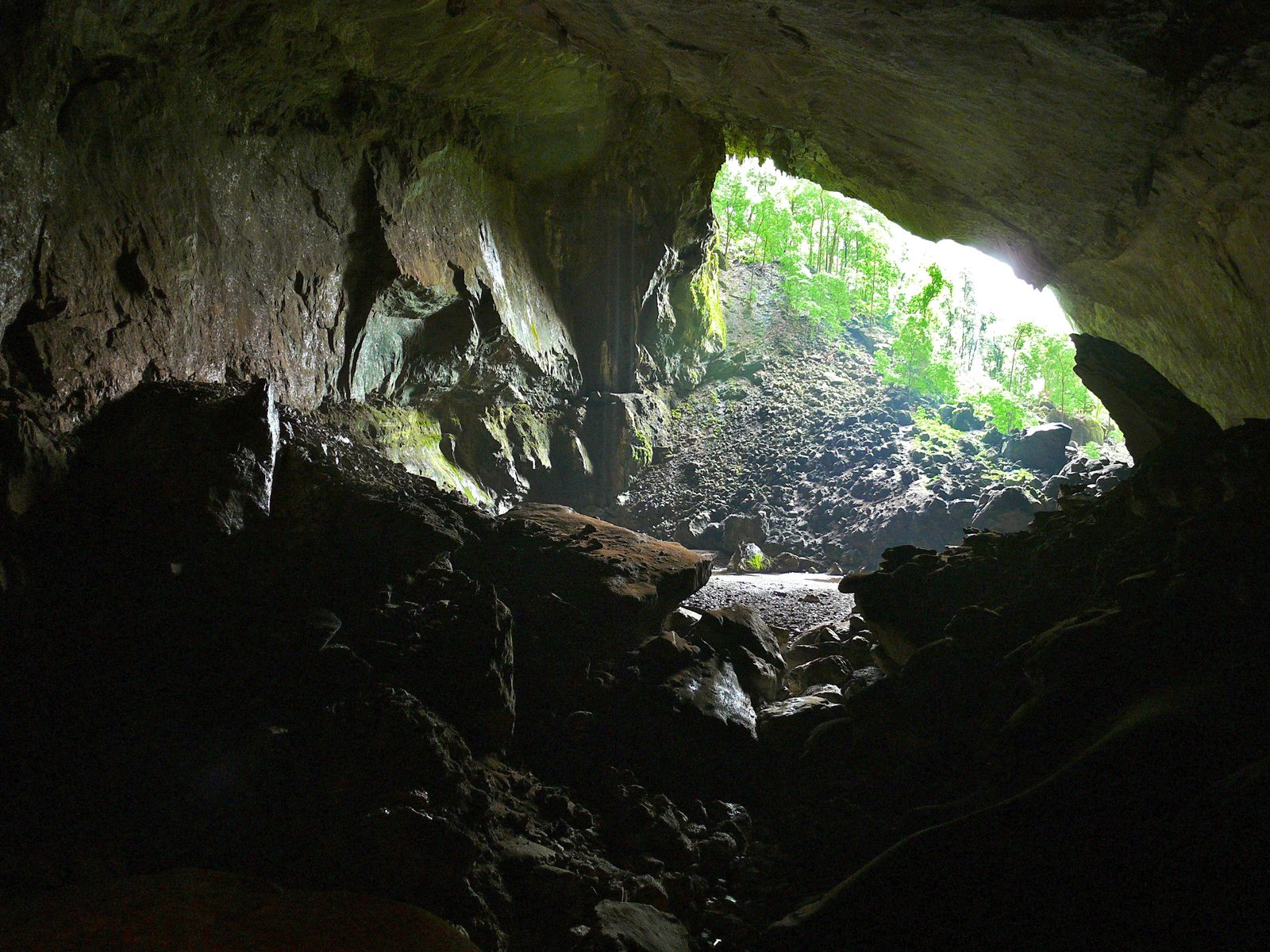 Deer Cave entrance Gunung Mulu National Park Sarawak