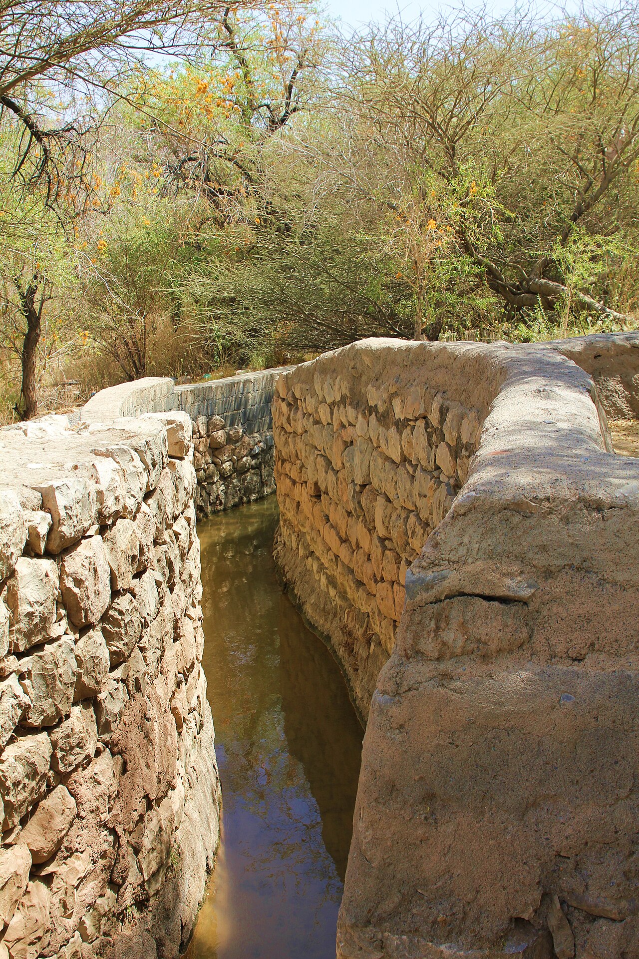 The Falaj Daris irrigation channel in Nizwa, Oman — a UNESCO-listed ancient qanat system delivering water from the mountains to agricultural settlements