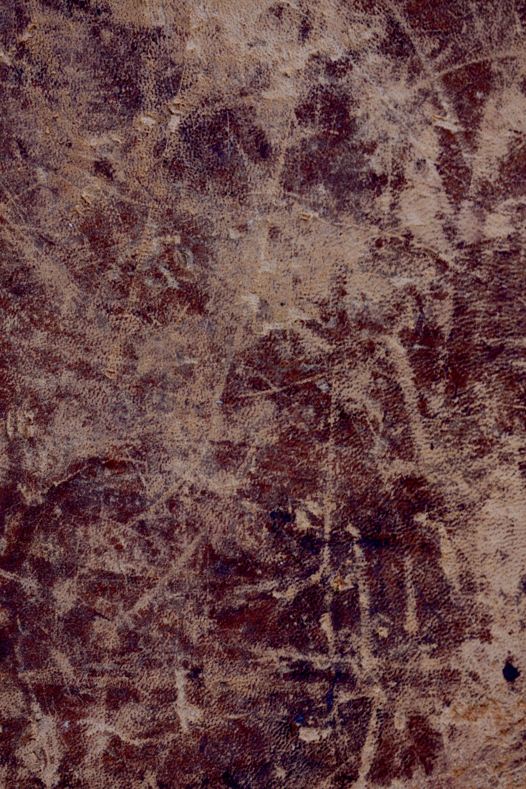 Historical publication cover