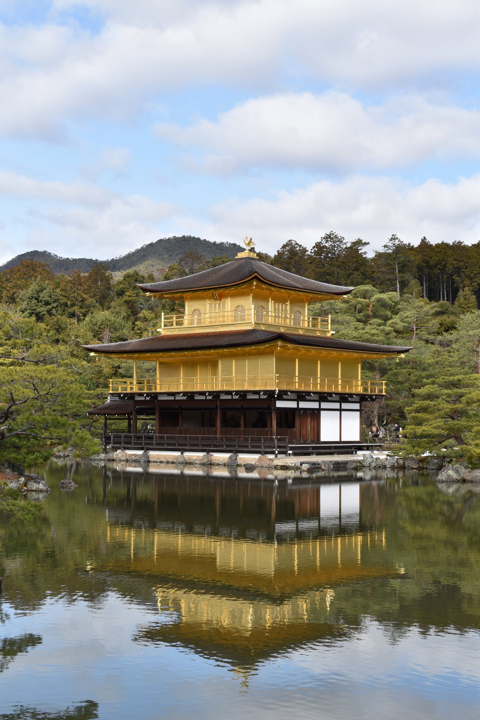 Kinkaku-ji Golden Pavilion reflected in the mirror pond, gold leaf upper floors against green pines