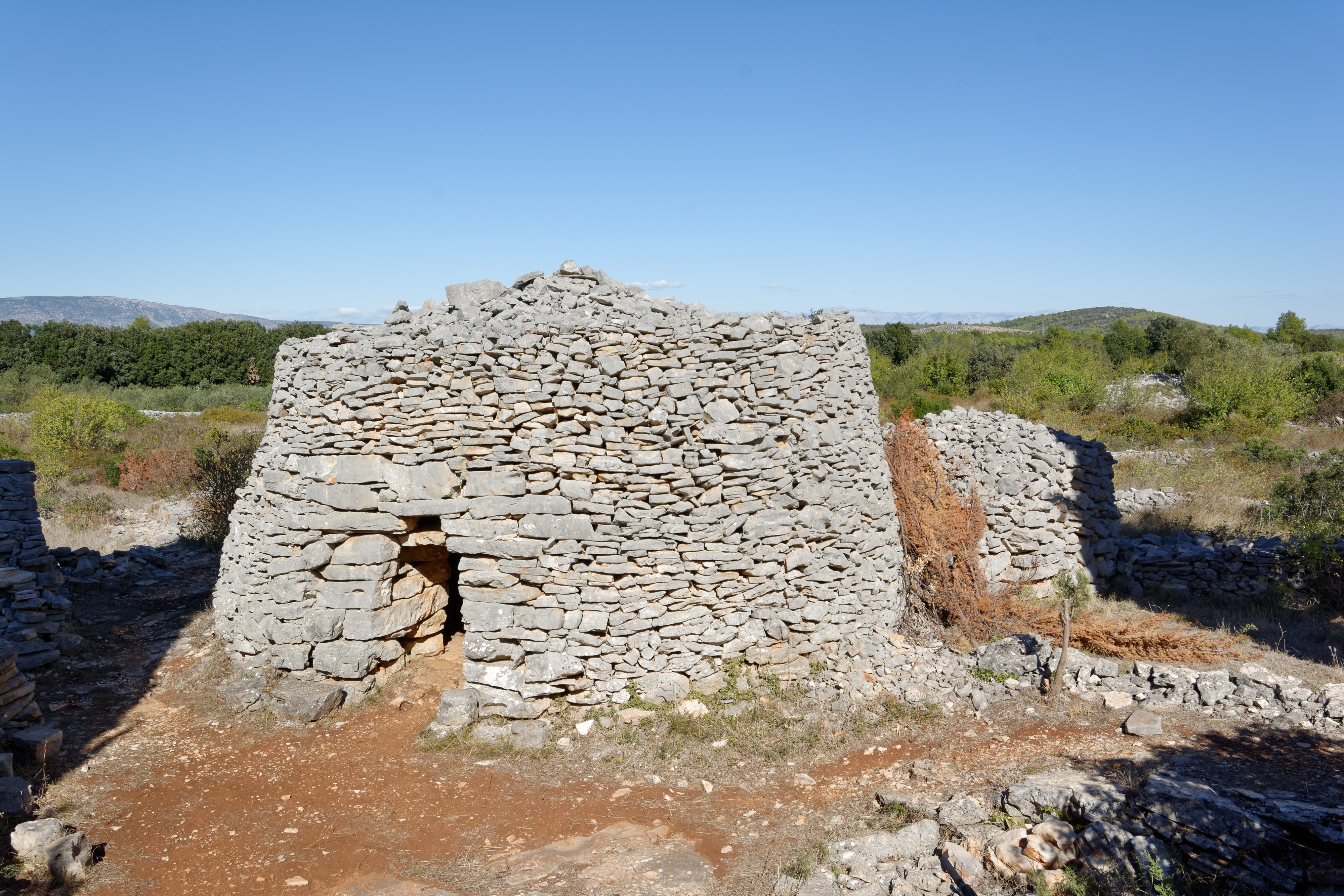 Dry-stone walls dividing rectangular vineyard plots on the Stari Grad Plain, island of Hvar